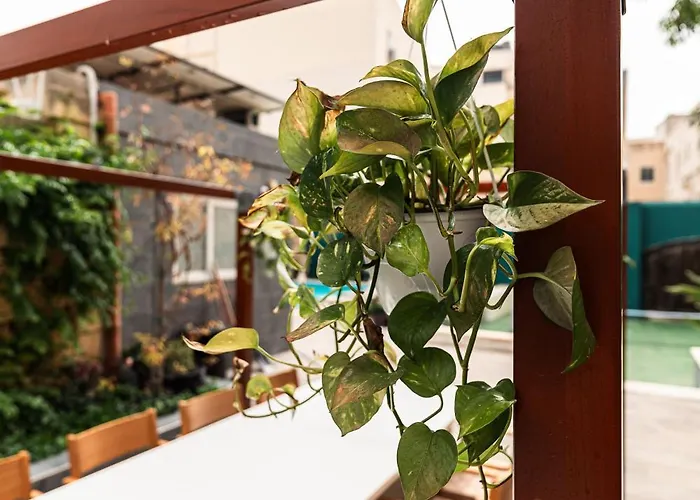 5 At Palazzo Seraphim Boutique Living In St Julians