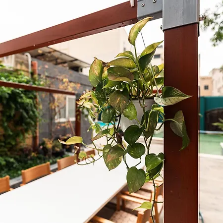 5 At Palazzo Seraphim Boutique Living In St Julians